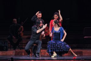 Opera y Flamenco | Palau de la Música Catalana, Barcelona 2