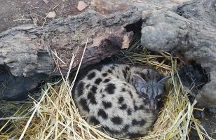 La Maleza Parque de Fauna 17