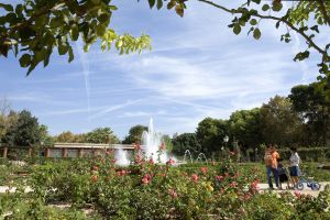 Jardines de Viveros 1