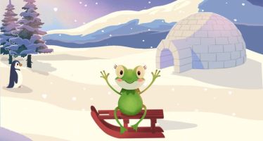 Una Rana en el Hielo - Zapatos de Papel 2