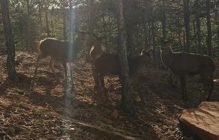 La Maleza Parque de Fauna 2