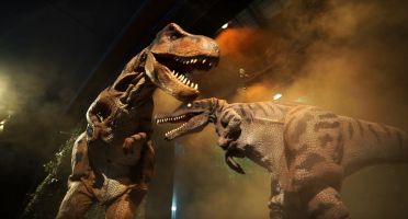 Perdidos entre Dinosaurios 2