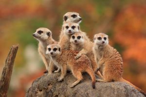 Terra Natura - Murcia 7