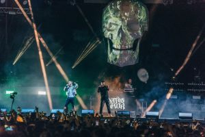 Festival Madrid Salvaje 2021 1