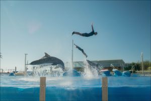 Marineland Mallorca 10