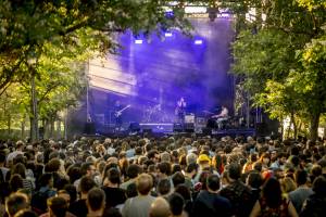 Festival Tomavistas 2025 13