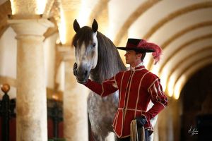 Córdoba Ecuestre: Pasión y Duende del Caballo Andaluz 3
