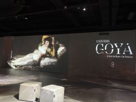 Universo Goya. Entre la luz y la Oscuridad 6