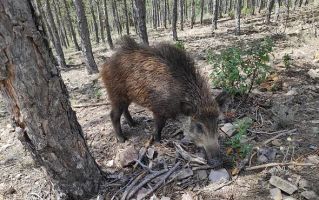 La Maleza Parque de Fauna 7