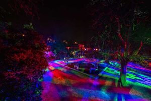 Naturaleza Encendida Aquatic Valencia 5