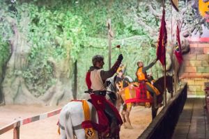 Desafío Medieval Magic Robin Hood 3