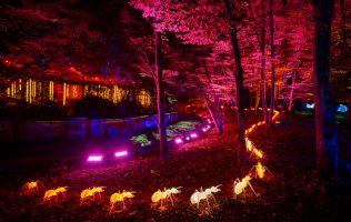 Naturaleza Encendida en Madrid 8