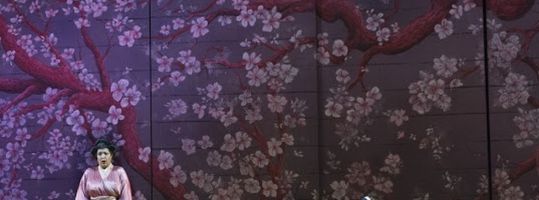 Madame Butterfly 3