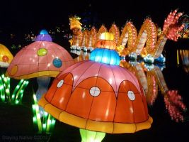 Great Chinese Lantern World 3
