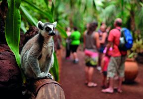 Oasis Wildlife Fuerteventura 14