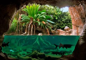 Bioparc Fuengirola 6