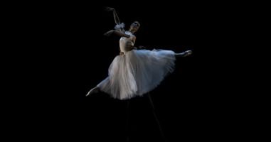 El Lago de los Cisnes - Ballet Clásico de San Petersburgo 4