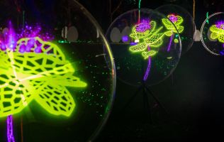 Natura Encesa Barcelona 6