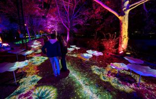 Natura Encesa Barcelona 11