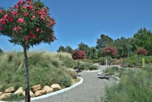 Bibo Park - Ibiza Botánico Biotecnológico 3