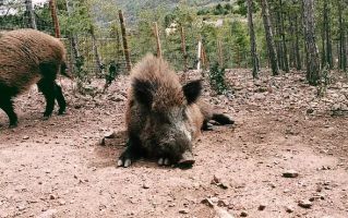 La Maleza Parque de Fauna 9