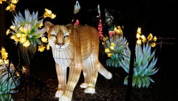 Brilla Zoo Festival 5