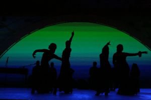 Gran gala flamenco 1