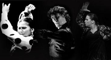 Baile flamenco desde el alma 1