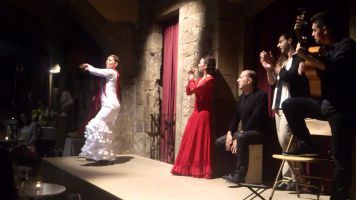 Flamenco en el Palau Dalmases 3