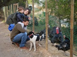 Granja d'Aventura Park 4