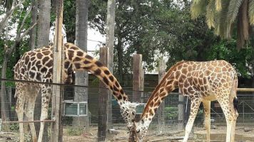 Zoobotánico Jeréz 3