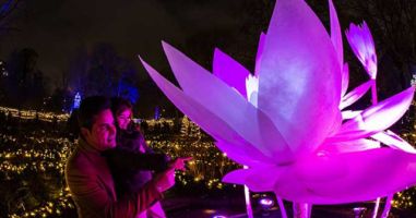 Naturaleza Encendida Aquatic Valencia 1