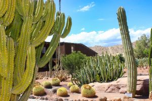 Oasys Parque Temático - Mini Hollywood 16