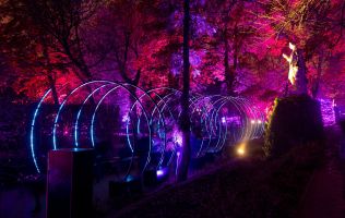 Naturaleza Encendida en Madrid 4