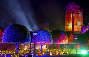 Naturaleza Encendida en Córdoba 5