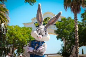 Parque Warner Madrid 20