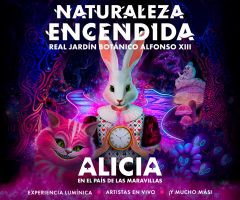 Naturaleza Encendida en Madrid 1
