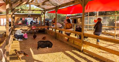 Granja d'Aventura Park 6