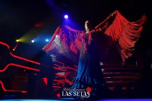 Tablao Flamenco Las Setas 2