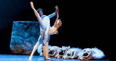 El lago de los cisnes &ndash; Ballet Cl&aacute;sico Internacional 3
