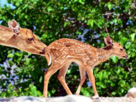 Terra Natura  - Benidorm 2