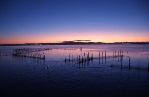 Albufera Bus Turistico 3