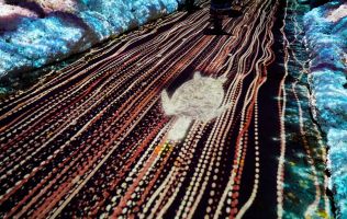 Naturaleza Encendida Bilbao 4