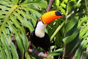 Selwo Marina Benalmádena 17