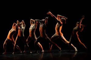 Pilobolus 3
