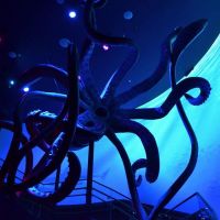 Atlantis Aquarium de Madrid 6