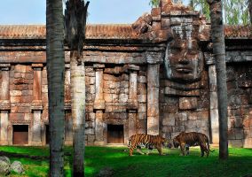 Bioparc Fuengirola 9