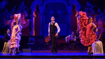 Gran gala flamenco 5