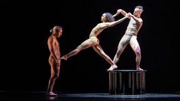 Pilobolus 2