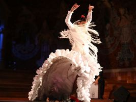 Gran gala flamenco 2